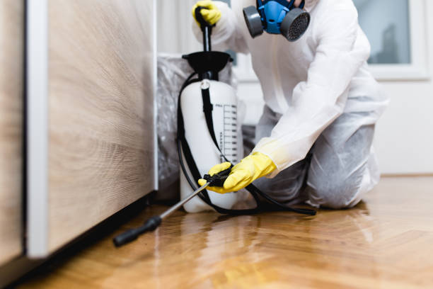 Best Pest Prevention Services  in Springfield, MO