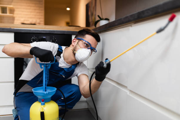 Best Affordable Pest Control Services  in Springfield, MO