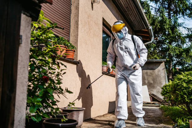 Best Residential Pest Control  in Springfield, MO