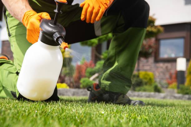Best Pest Removal Services  in Springfield, MO