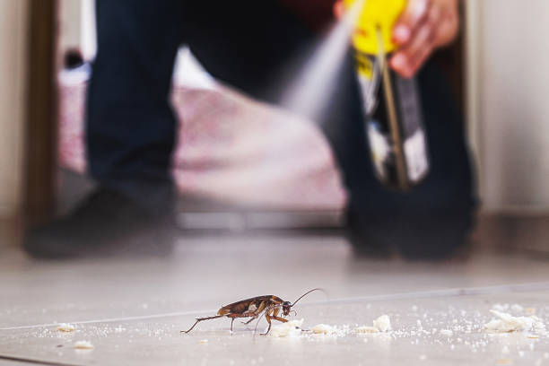Best Best Pest Control Companies  in Springfield, MO