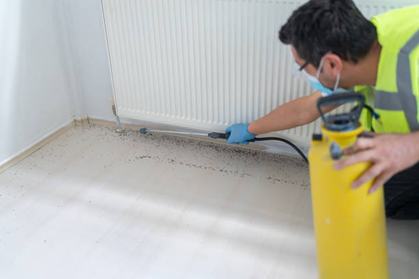 Best Pest Control for Businesses  in Springfield, MO